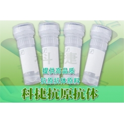 抗人红细胞抗体 抗RBC抗体 红细胞抗体 RBC抗体 RBC多抗 滤血专用 RBC单抗