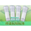 蛋白酶K Proteinase K 蛋白酶